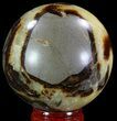 Polished Septarian Sphere - Madagascar #67835-1